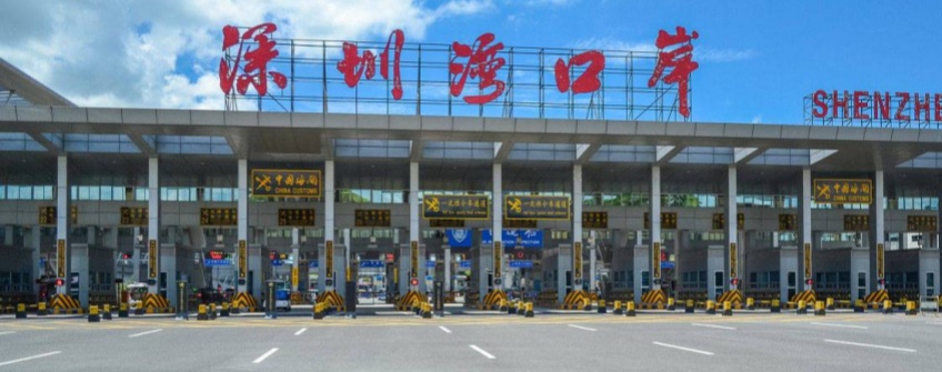 驚蟄春耕忙 種子通關暢：拓昊進出口護航春耕物資“附條件提離”